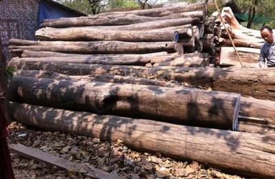 法國木材行業(yè) 經(jīng)濟(jì)復(fù)蘇趨勢下的銷售新機(jī)遇