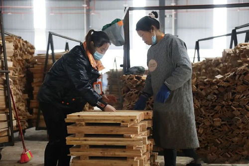 貴州錦屏年產(chǎn)20萬方木制品加工廠重大項目建設有序推進