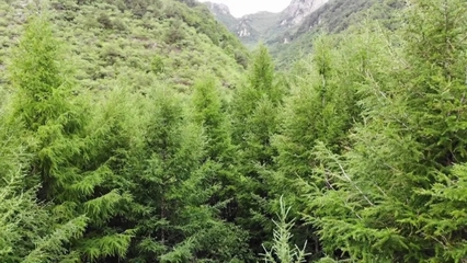 密云區(qū)榮獲2021年“中國天然氧吧”稱號