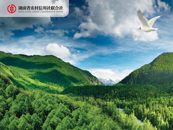 林權抵押