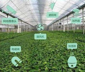大眾銳評(píng) 這的農(nóng)產(chǎn)品為何能 吃干榨盡