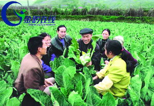 保持先進(jìn)性 建設(shè)新農(nóng)村 全省農(nóng)村先進(jìn)性教育活動(dòng)學(xué)習(xí)動(dòng)員階段掠影