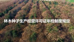 林木種子生產(chǎn)經(jīng)營(yíng)許可證年檢制度規(guī)定