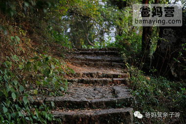 788元一家三口,住西湖畔精品設(shè)計(jì)別墅,含無敵賞桂山景 營養(yǎng)早餐 創(chuàng)意正餐 下午茶
